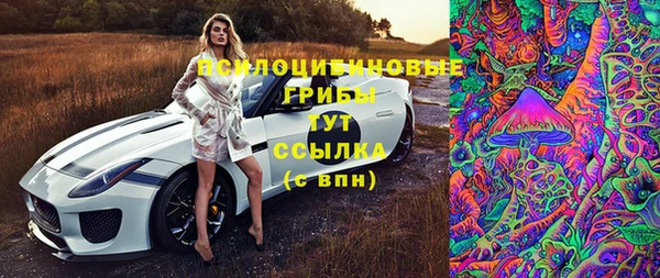МДМА Белокуриха