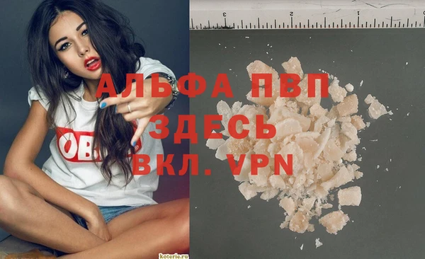 стафф Беломорск