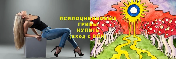 МДМА Белокуриха
