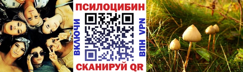 ссылка на мегу ONION Ермолино Галлюциногенные грибы ЛСД